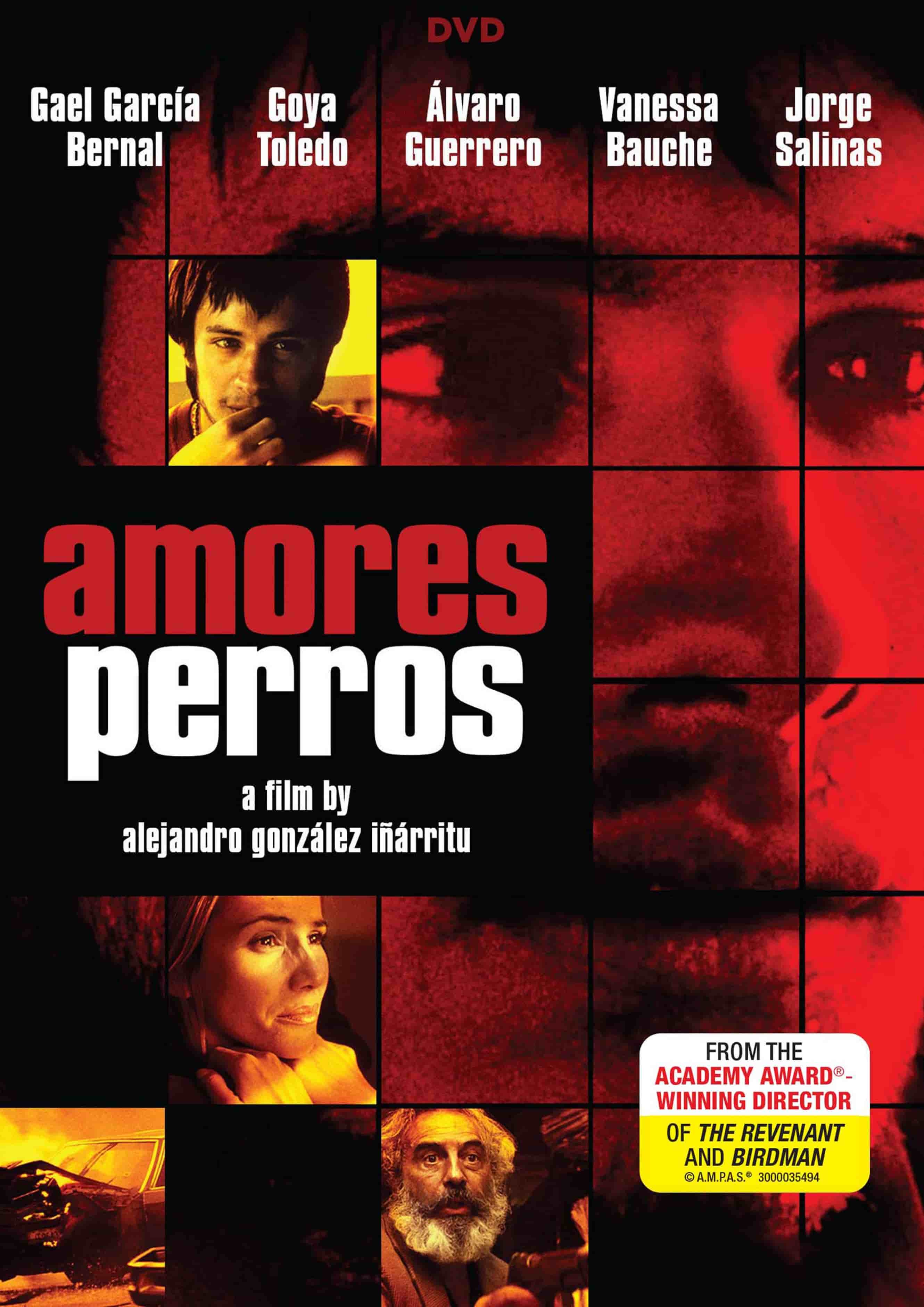 Poster de la pelicula Amores perros